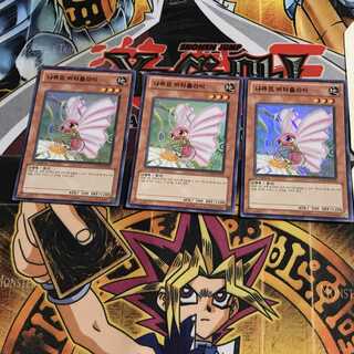 韓国版 ナチュル・バタフライ 3 スーパー 3枚セット