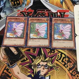 韓国版 ナチュル・バタフライ 4 スーパー 3枚セット