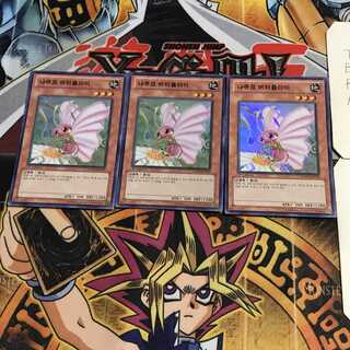 韓国版 ナチュル・バタフライ 5 スーパー 3枚セット