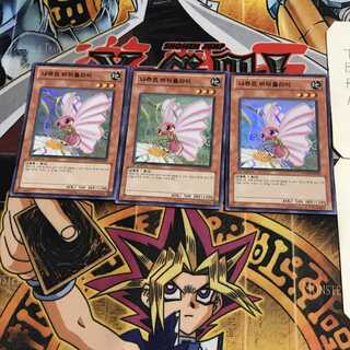 韓国版 ナチュル・バタフライ 6 スーパー 3枚セット