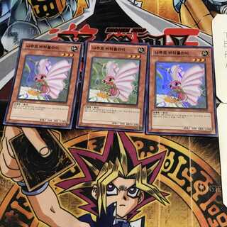 韓国版 ナチュル・バタフライ 8 スーパー 3枚セット