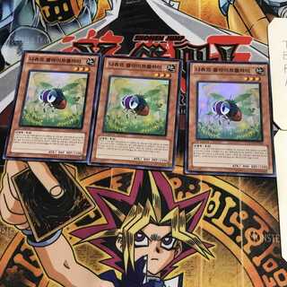 韓国版 ナチュル・フライトフライ 1 スーパー 3枚セット