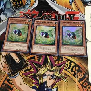 韓国版 ナチュル・フライトフライ 2 スーパー 3枚セット