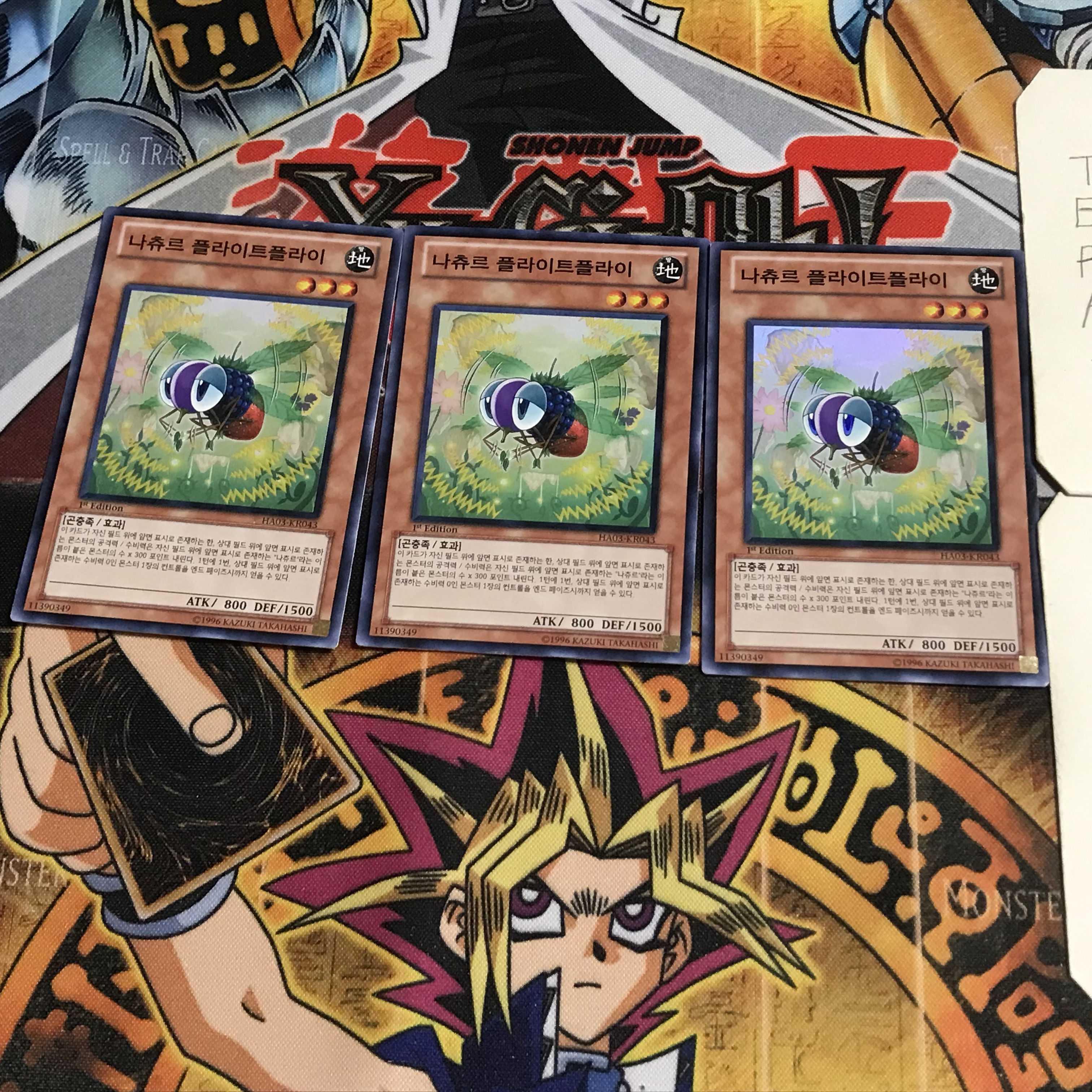 韓国版 ナチュル・フライトフライ 4 スーパー 3枚セット