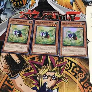 韓国版 ナチュル・フライトフライ 4 スーパー 3枚セット