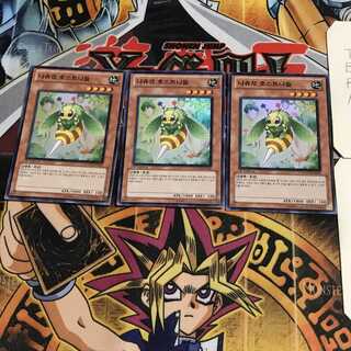 韓国版 ナチュル・ホーストニードル 1 スーパー 3枚セット