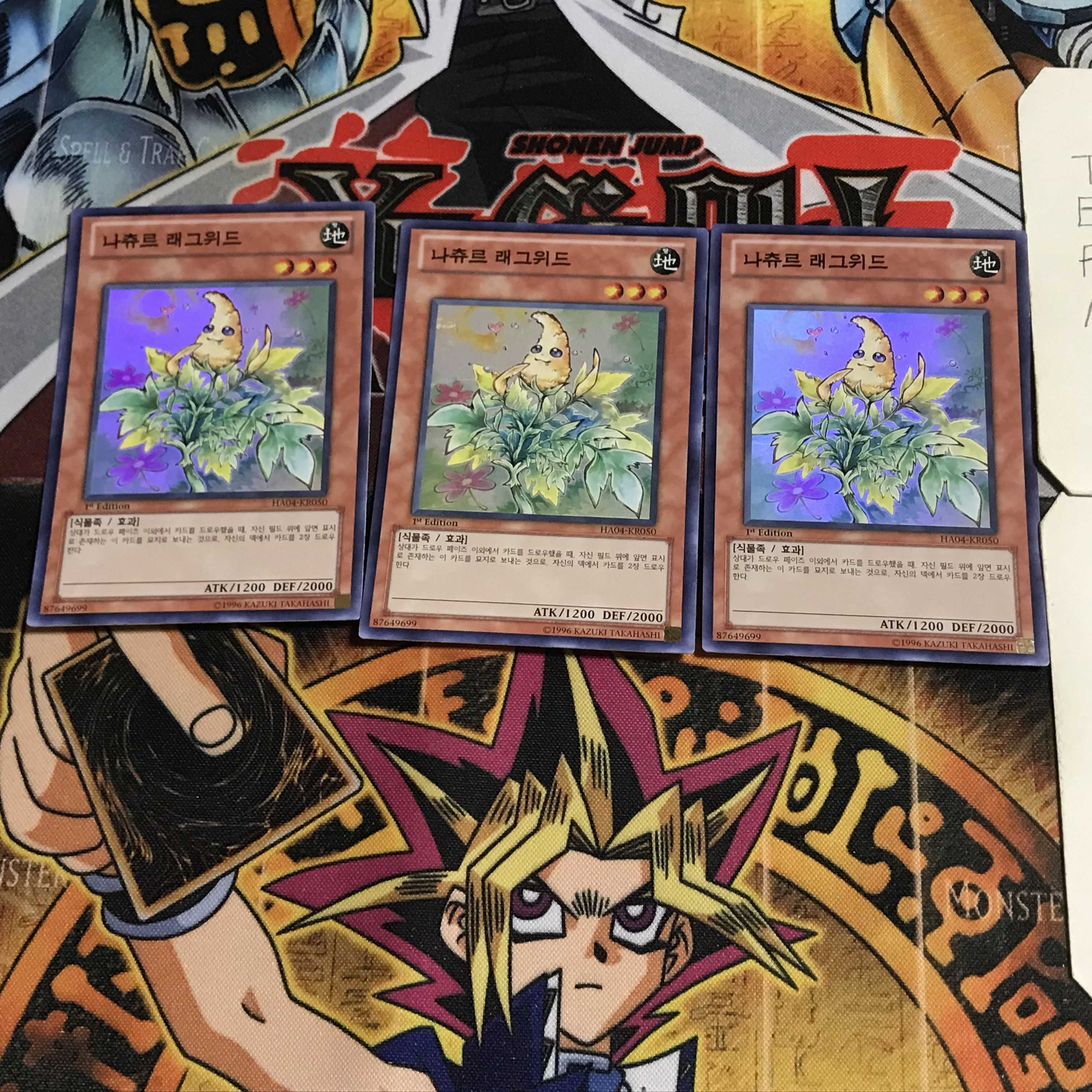 韓国版 ナチュル・ラグウィード 1 スーパー 3枚セット