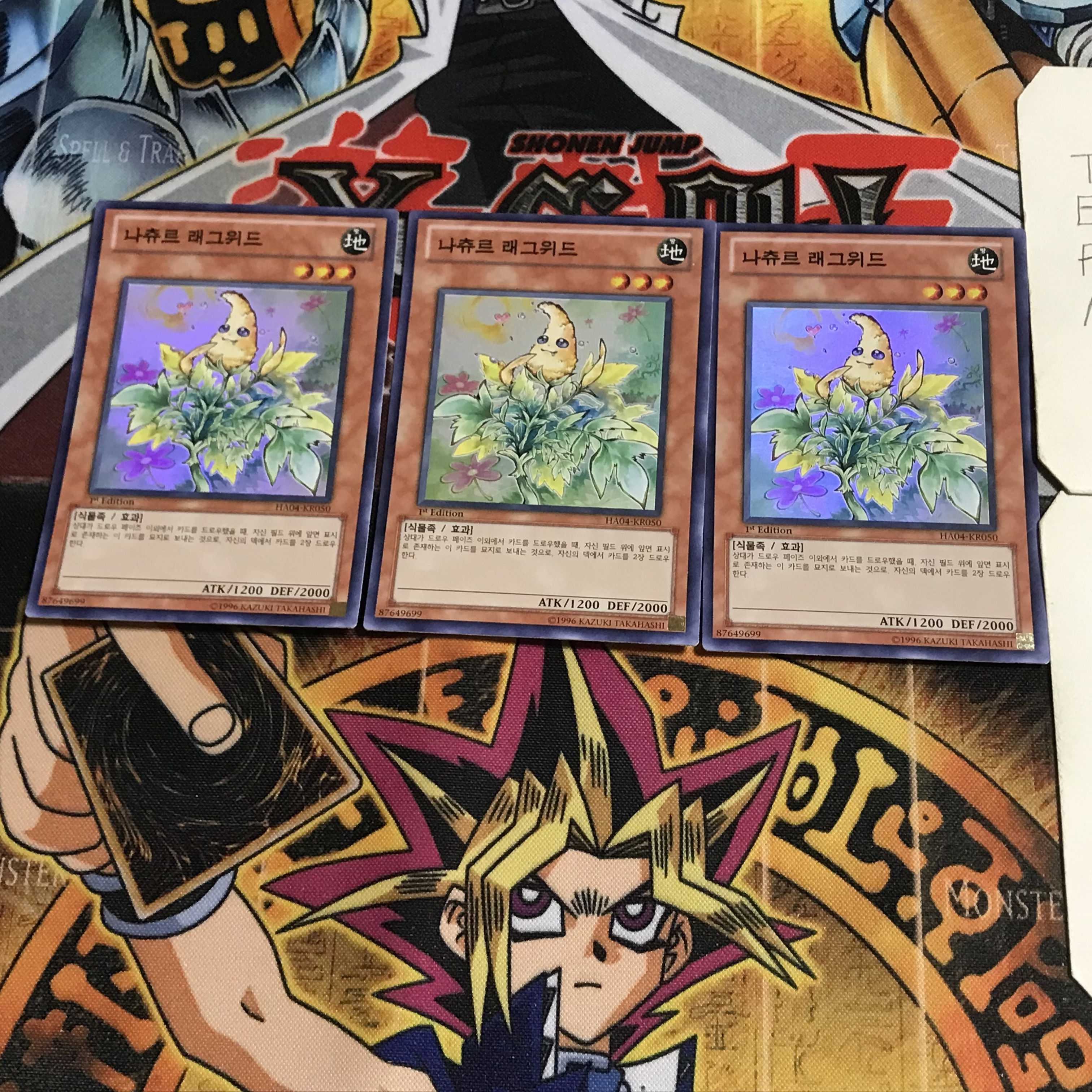 韓国版 ナチュル・ラグウィード 2 スーパー 3枚セット