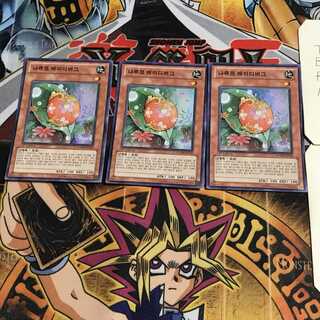 韓国版 ナチュル・レディバグ 1 スーパー 3枚セット