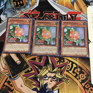 韓国版 ナチュル・レディバグ 2 スーパー 3枚セット