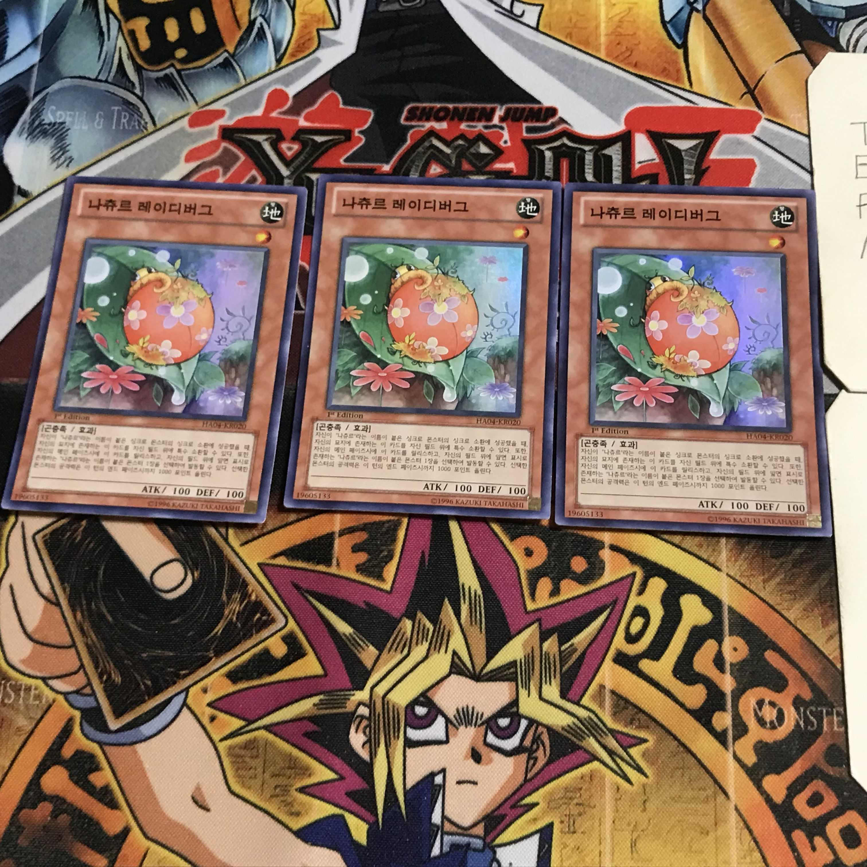 韓国版 ナチュル・レディバグ 6 スーパー 3枚セット