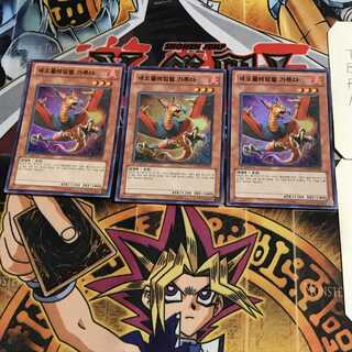 韓国版 ネオフレムベル・ガルーダ 9 スーパー 3枚セット