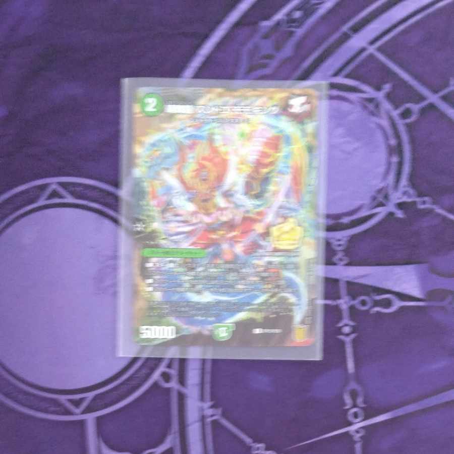 晴舞龍 ズンドコ・モモキング