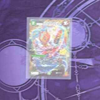 晴舞龍 ズンドコ・モモキング