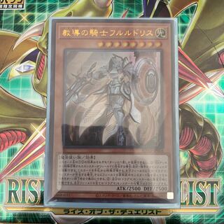 教導の騎士フルルドリス