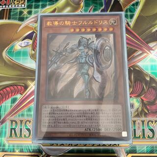 教導の騎士フルルドリス