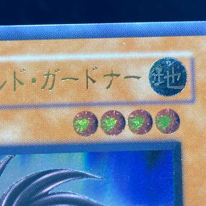 ビッグ・シールド・ガードナー シークレットレア 02