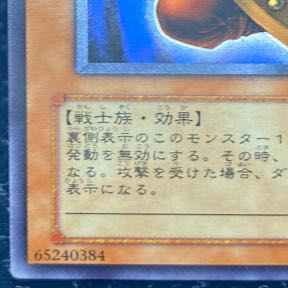 ビッグ・シールド・ガードナー シークレットレア 02