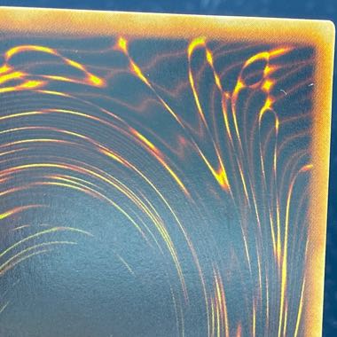 ビッグ・シールド・ガードナー シークレットレア 02