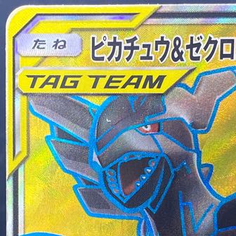 Pikachu&Zekrom SR 100/095