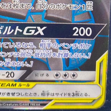 Pikachu&Zekrom SR 100/095
