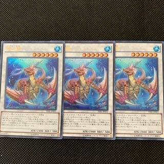 瑚之龍 ウルトラレア