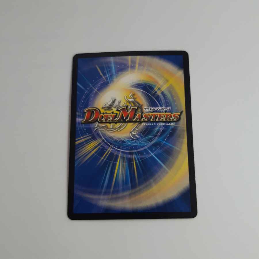 天命龍装 ホーリーエンド｜ナウ・オア・ネバー SR S6/S20