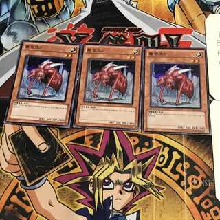 韓国版 ワーム・リンクス 1 スーパー 3枚セット てら