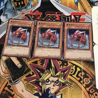 韓国版 ワーム・リンクス 3 スーパー 3枚セット てら