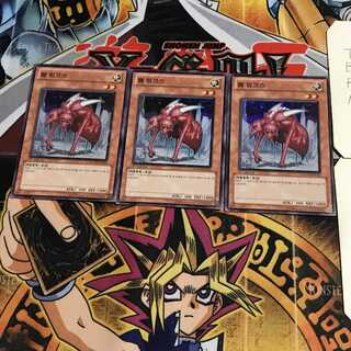 韓国版 ワーム・リンクス 4 スーパー 3枚セット てら