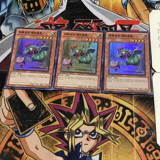 韓国版 魔轟神獣コカトル 5 スーパー 3枚セット てら
