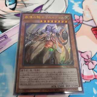 教導の騎士 フルルドリス アルティメット