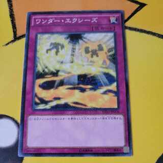 ワンダー・エクシーズ ノーマル JP076
