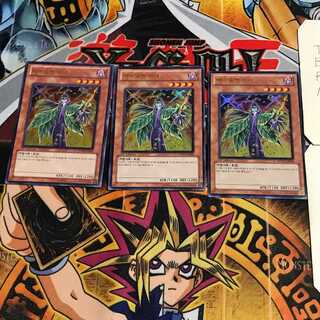 韓国版 バイオレット・ウィッチ 2 ウルトラ 3枚セット てら