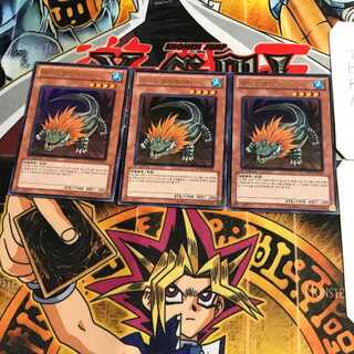 韓国版 ライオ・アリゲーター 4 ウルトラ 3枚セット てら