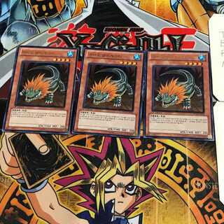 韓国版 ライオ・アリゲーター 5 ウルトラ 3枚セット てら