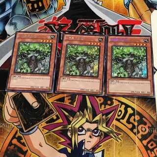 韓国版 ナチュル・ガーディアン 1 シークレット 3枚セット てら