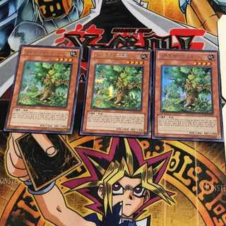 韓国版 ナチュル・ホワイトオーク 1 シークレット 3枚セット てら