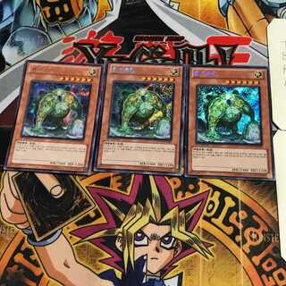 韓国版 ワーム・イーロキン 1 シークレット 3枚セット てら