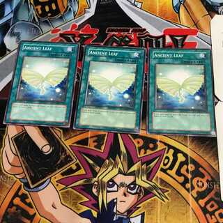 英語版 エンシェント・リーフ 1 ノーマル 3枚セット てら
