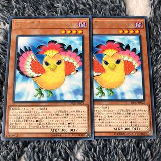 BF-南風のアウステル