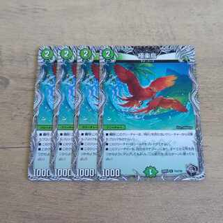 極楽鳥(黒トレジャー) R T12/T20