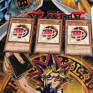 英語版 プリベントマト 1 ノーマル 3枚セット てら