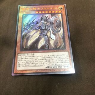 教導の騎士　フルルドリス