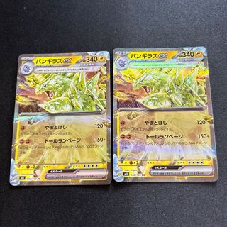 バンギラスEX」の激安通販 | magi