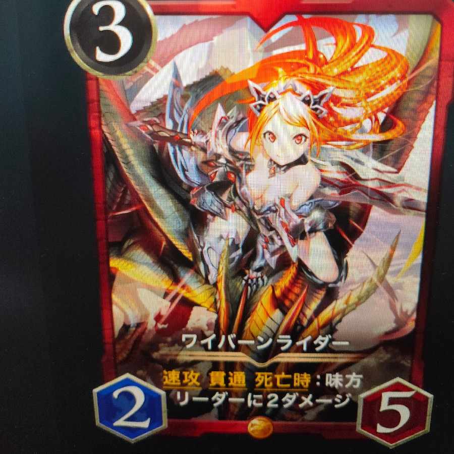 ワイバーンライダー