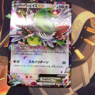 シェイミ ex セットアップ