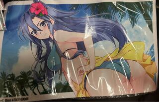 戦姫絶唱シンフォギア 水着 風鳴翼 プレイマット