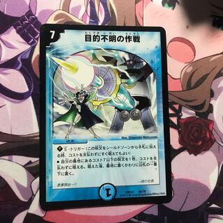 目的不明の作戦