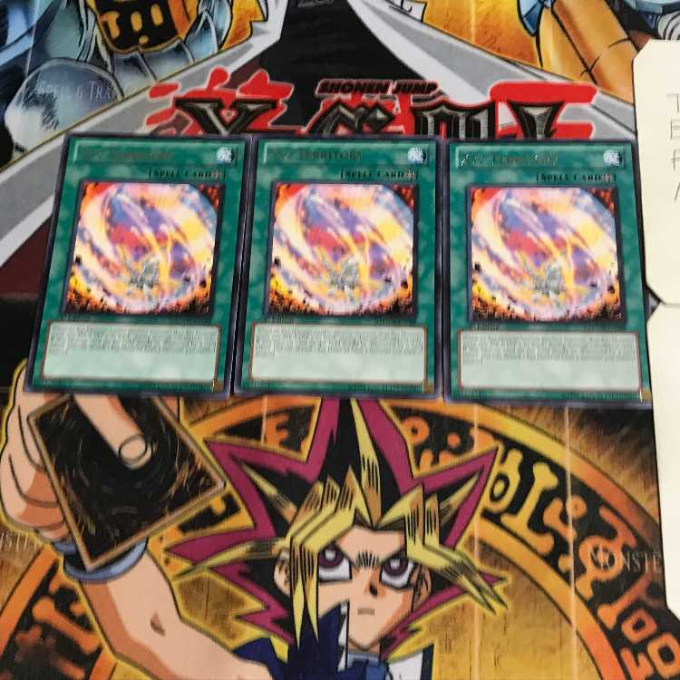 英語版 エクシーズ・テリトリー 3 レア 3枚セット てら